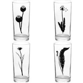 4 Pack Boxed Set Botanical Black Tall Collins Glasses