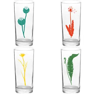 4 Pack Boxed Set Botanical Color Tall Collins Glasses