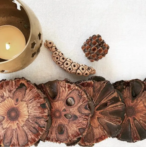 BANKSIA COASTER