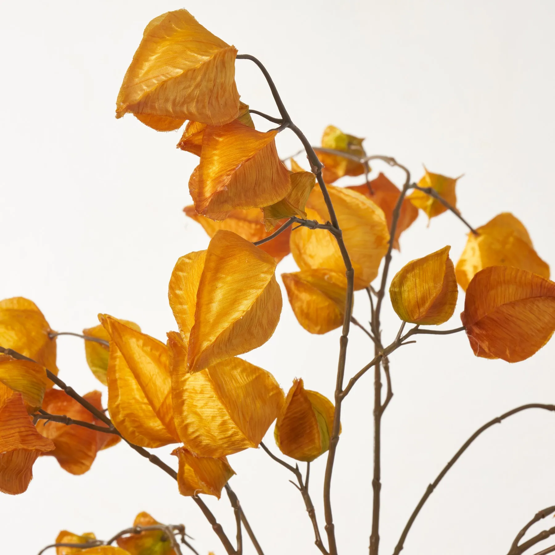 Chinese Lantern Tree Branch Pods In Jug Style Vase - Available In Two Colors