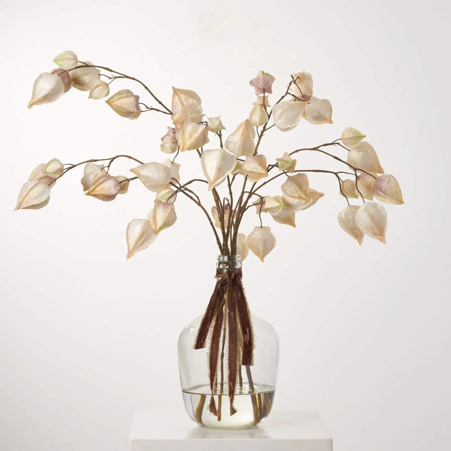 Chinese Lantern Tree Branch Pods In Jug Style Vase - Available In Two Colors