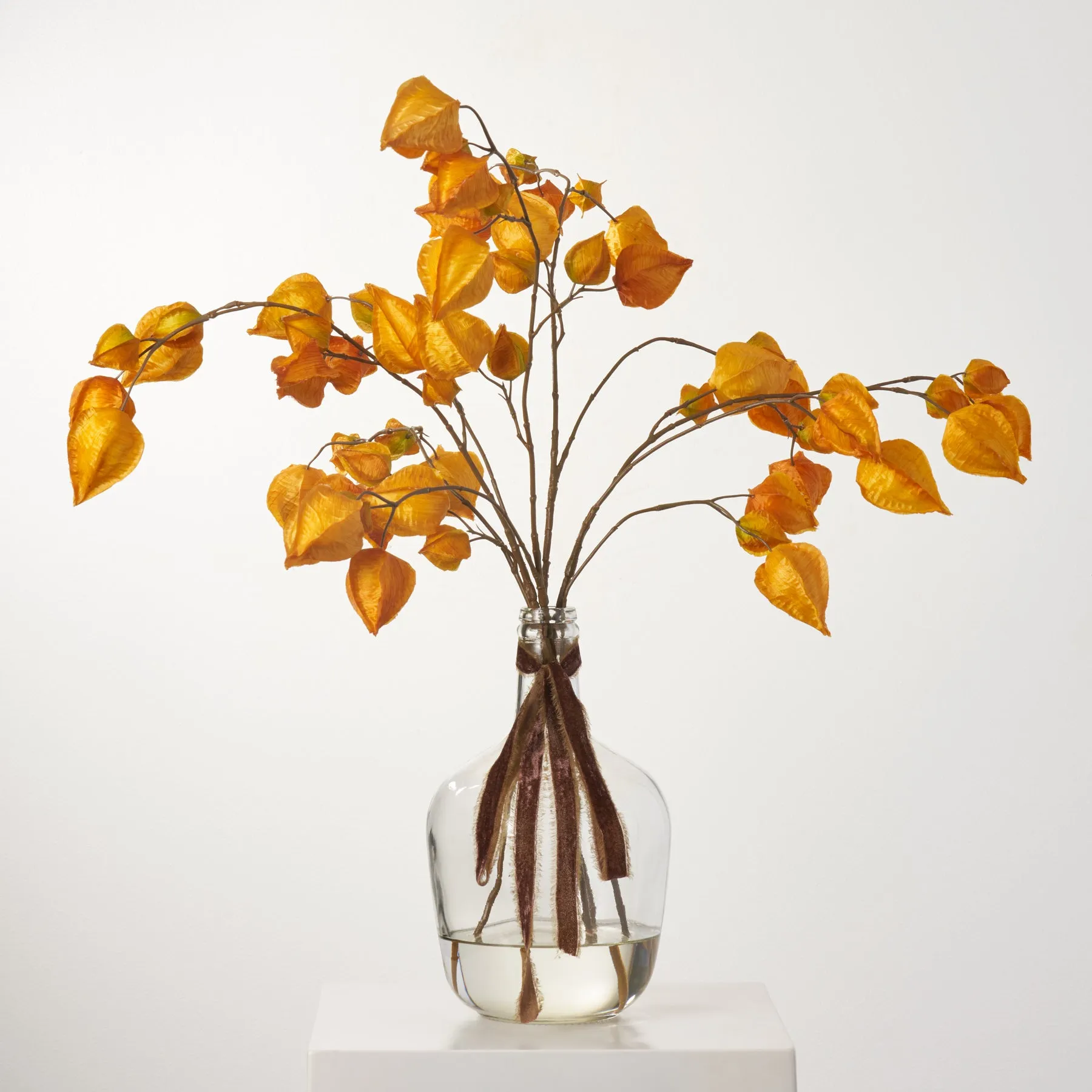 Chinese Lantern Tree Branch Pods In Jug Style Vase - Available In Two Colors