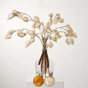Chinese Lantern Tree Branch Pods In Jug Style Vase - Available In Two Colors