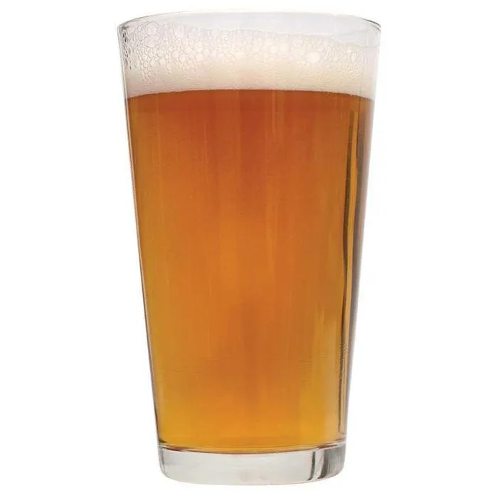 Chinook IPA 1 Gallon Beer Recipe Kit