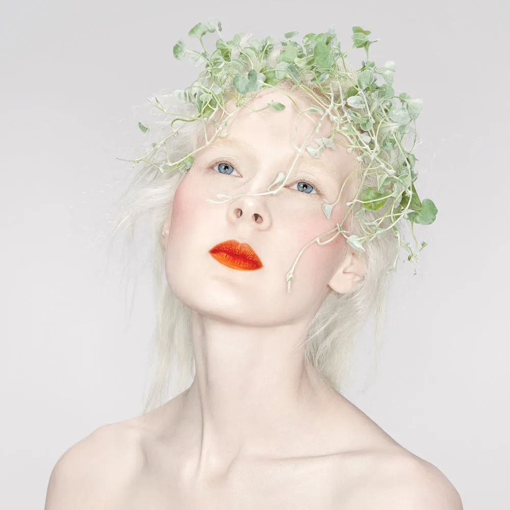 Color Set: Bloodroot   Rose Pinch
