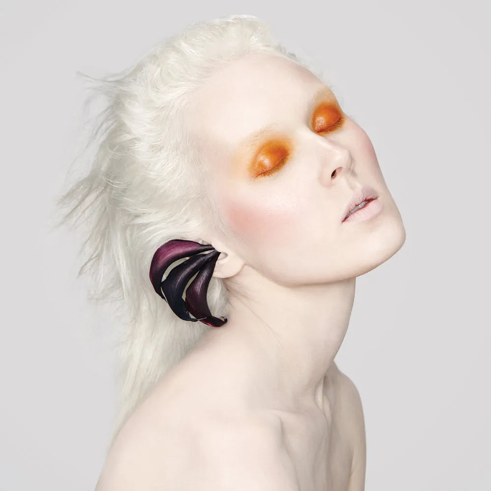 Color Set: Bloodroot   Rose Pinch