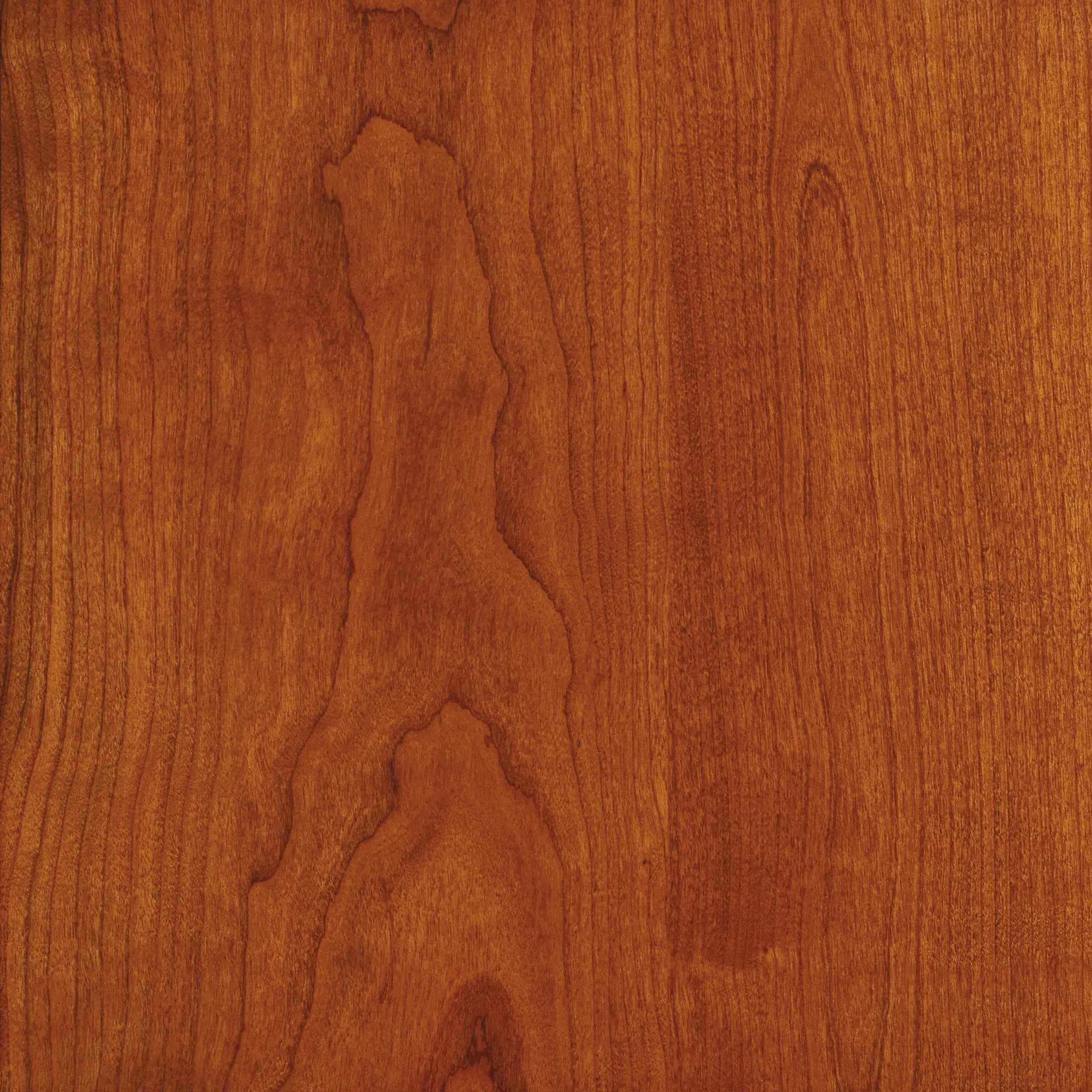 Copeland Catalina Bar Cabinet