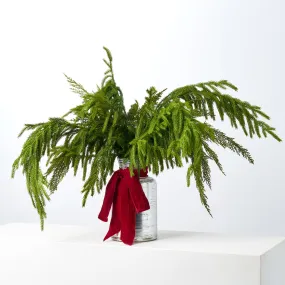Deluxe Greeney Norfolk & Lebanon Cedar Branches in Silver Bottle Vase with Red Velvet Bow