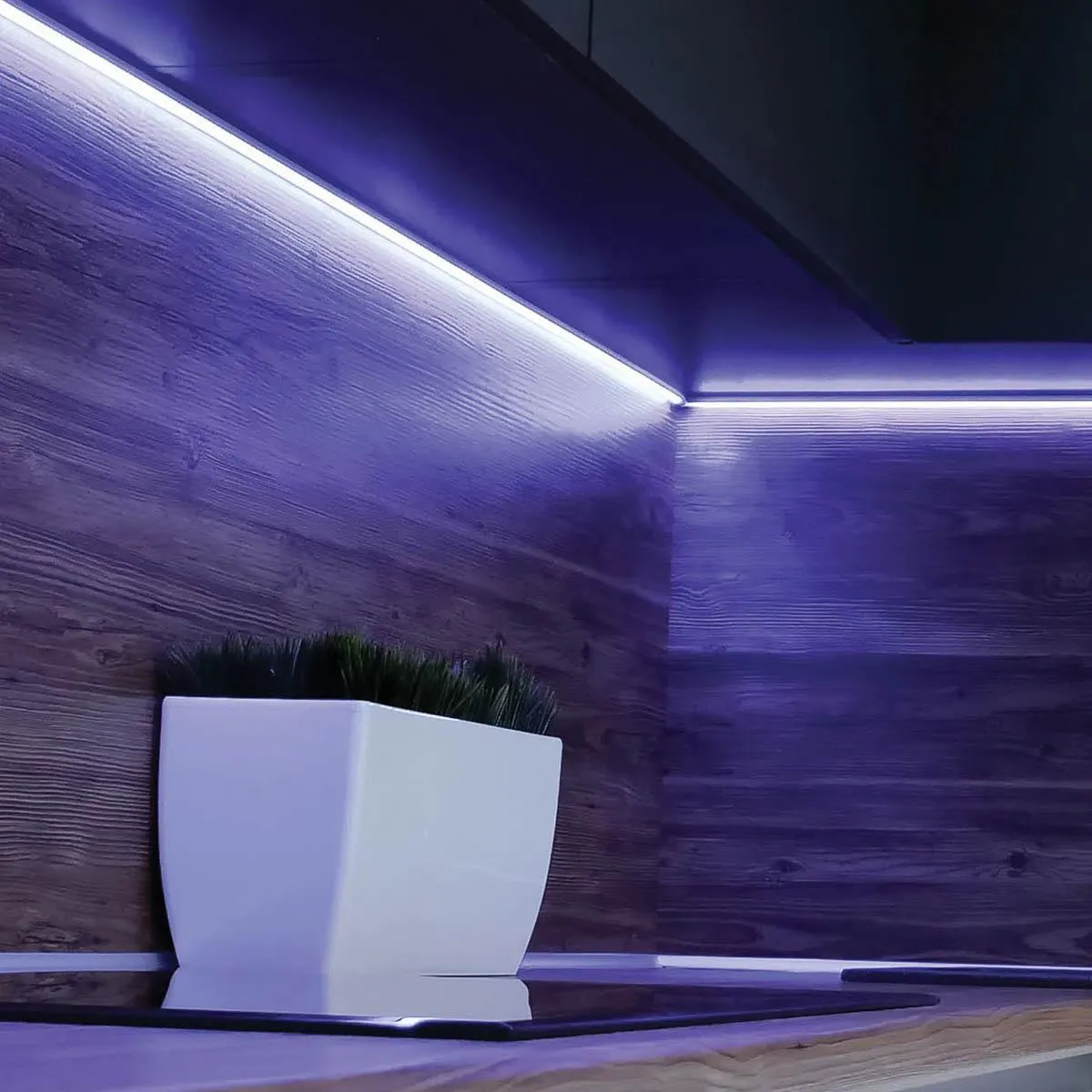 Dimension Pro LED Smart Tape Light Kit with Remote, 65ft Reel, Color Changing RGB and Tunable White, 24V, Plug Connection