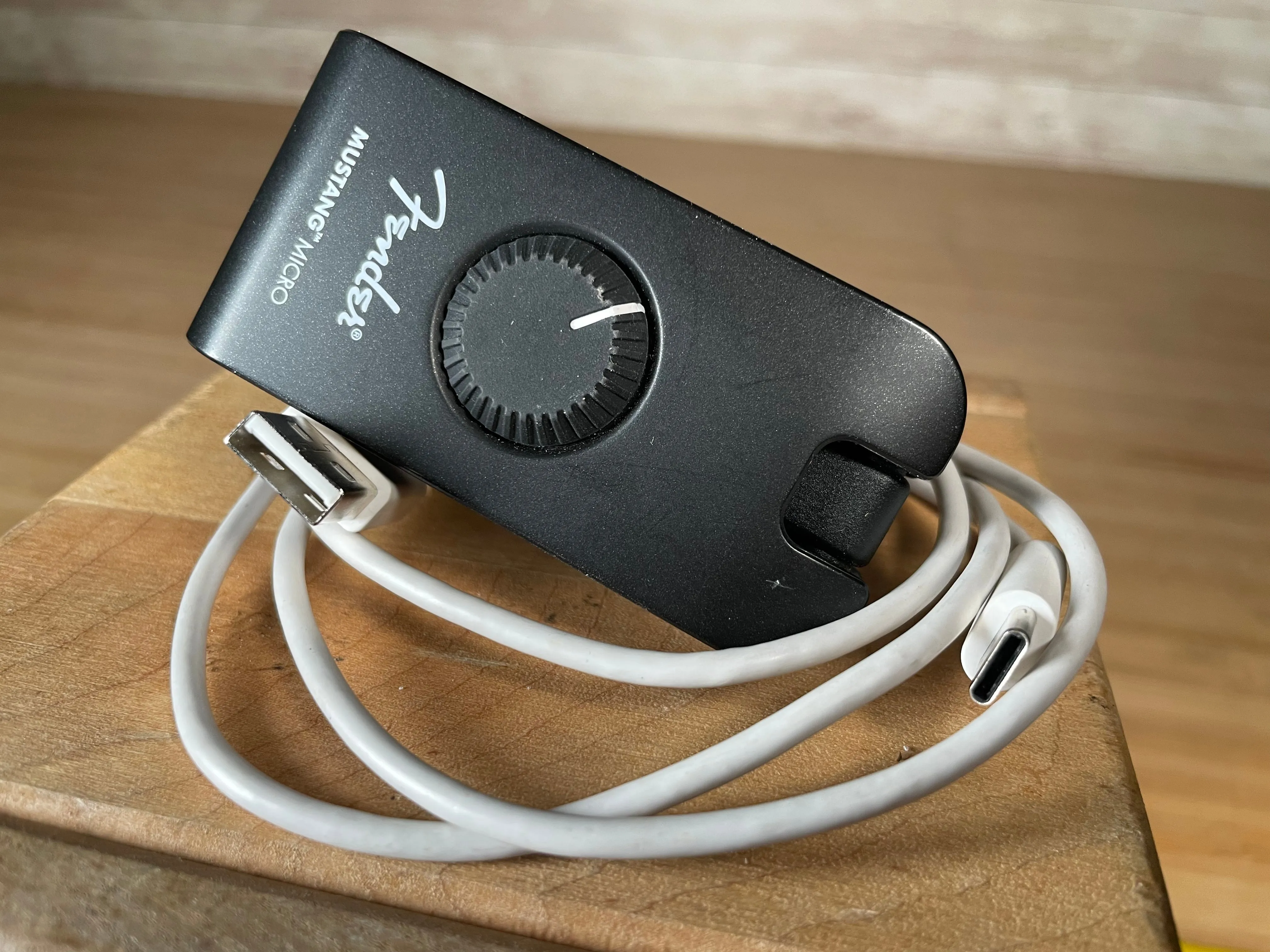 Fender Mustang Micro Amplifier