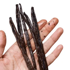 Gourmet Vanilla Pods - Certified Organic & Fair Trade - Madagascar