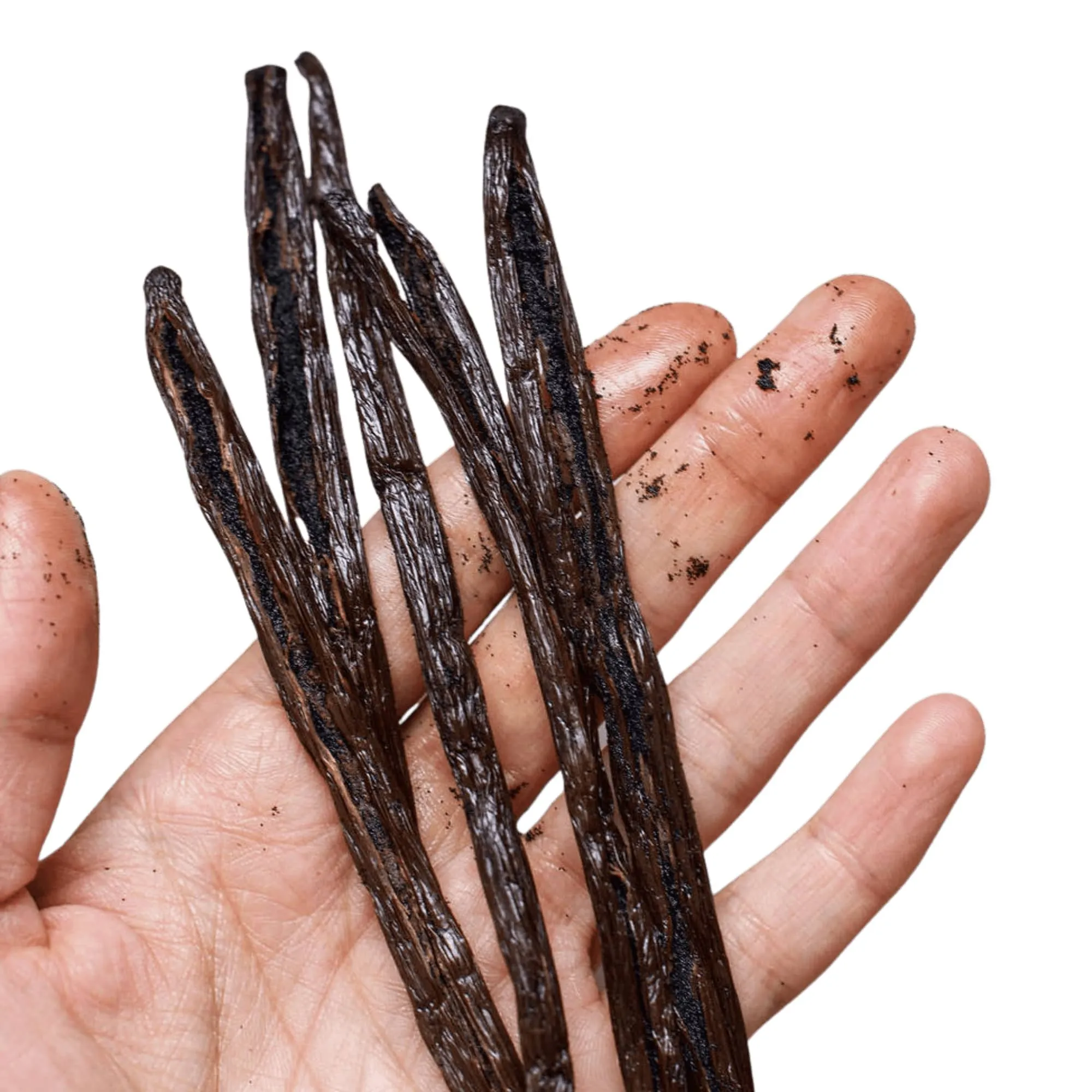 Gourmet Vanilla Pods - Certified Organic & Fair Trade - Madagascar