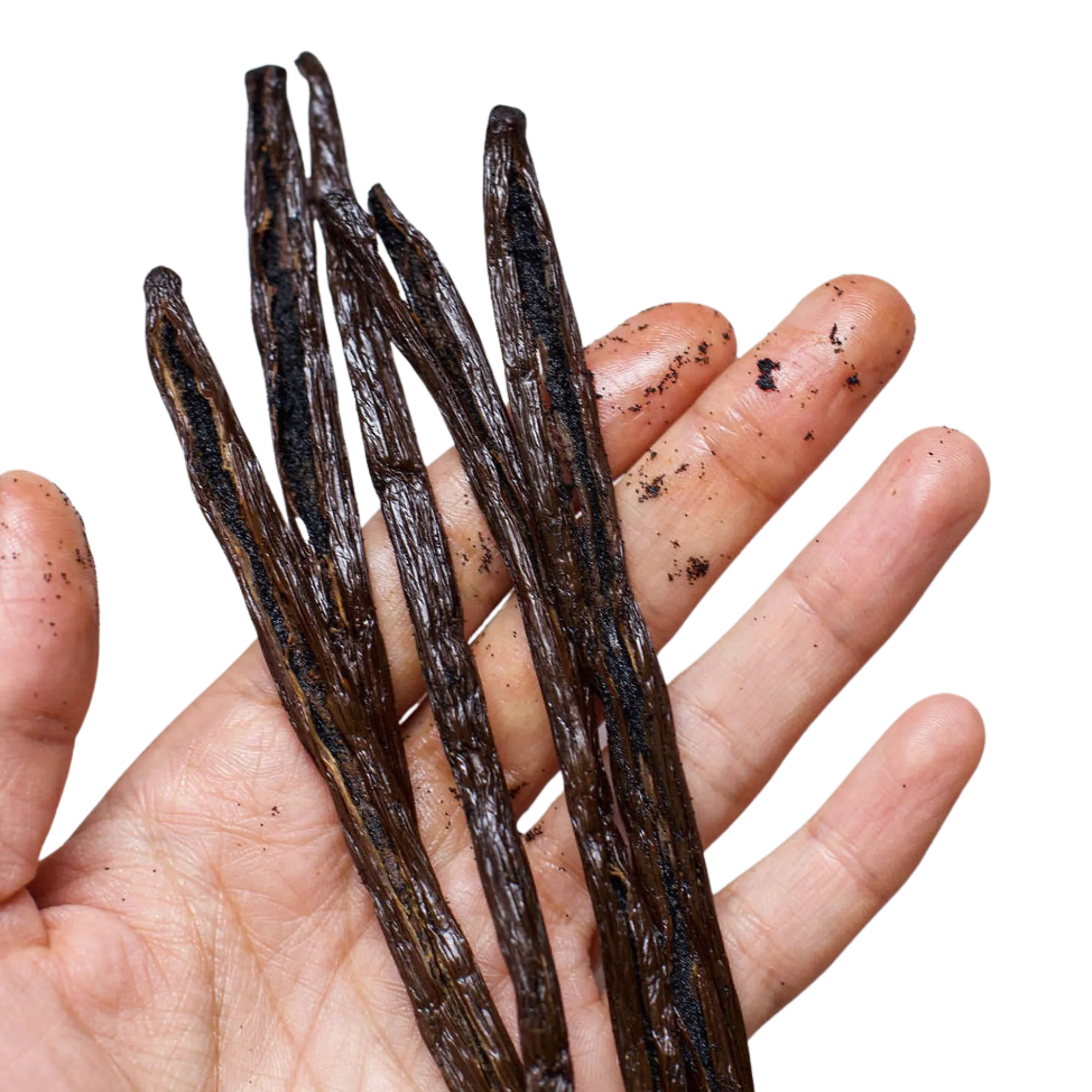 Gourmet Vanilla Pods - Certified Organic & Fair Trade - Madagascar
