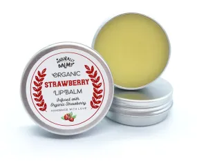 Natural, Luxury Organic Lip Balm Making Kit with Tins (Makes 10)