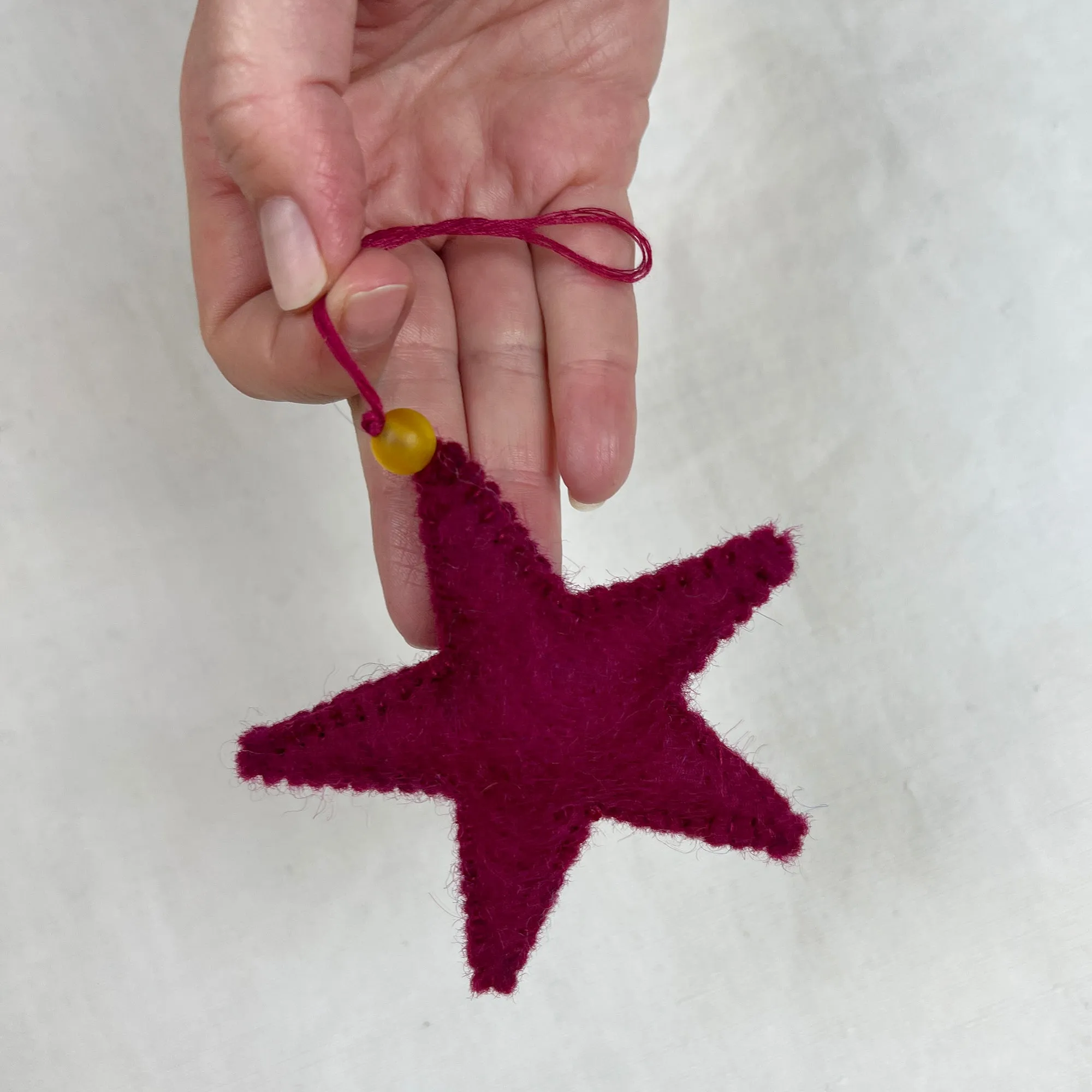 SAPNA Beaded Felt Star Hanging Decoration Pack 5 (WS)