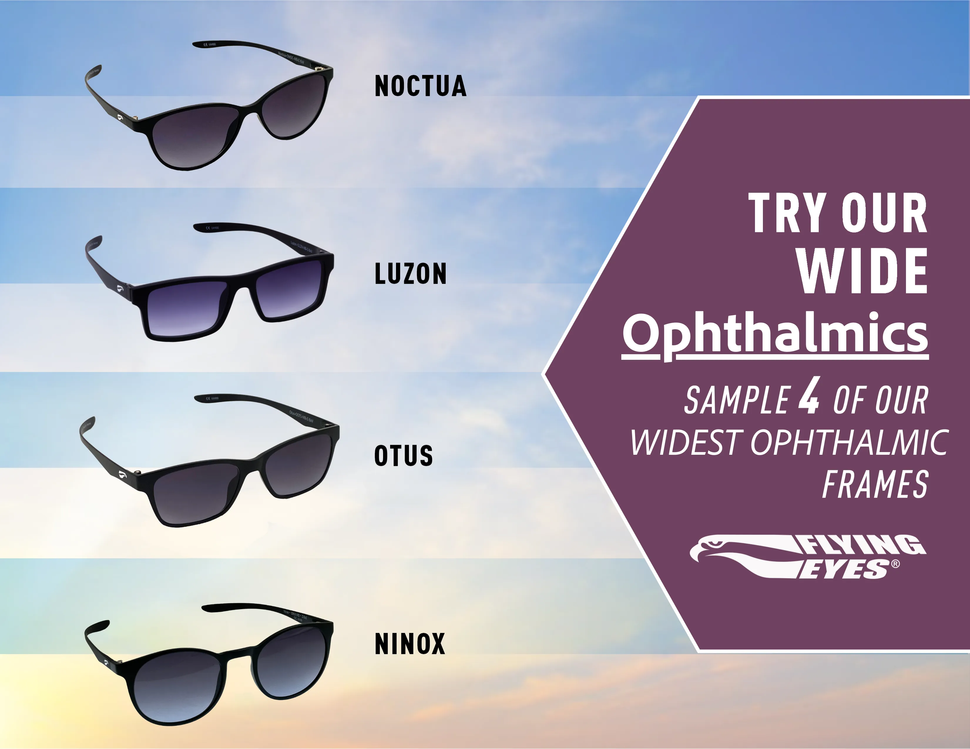 Sunglasses Try-On Kits
